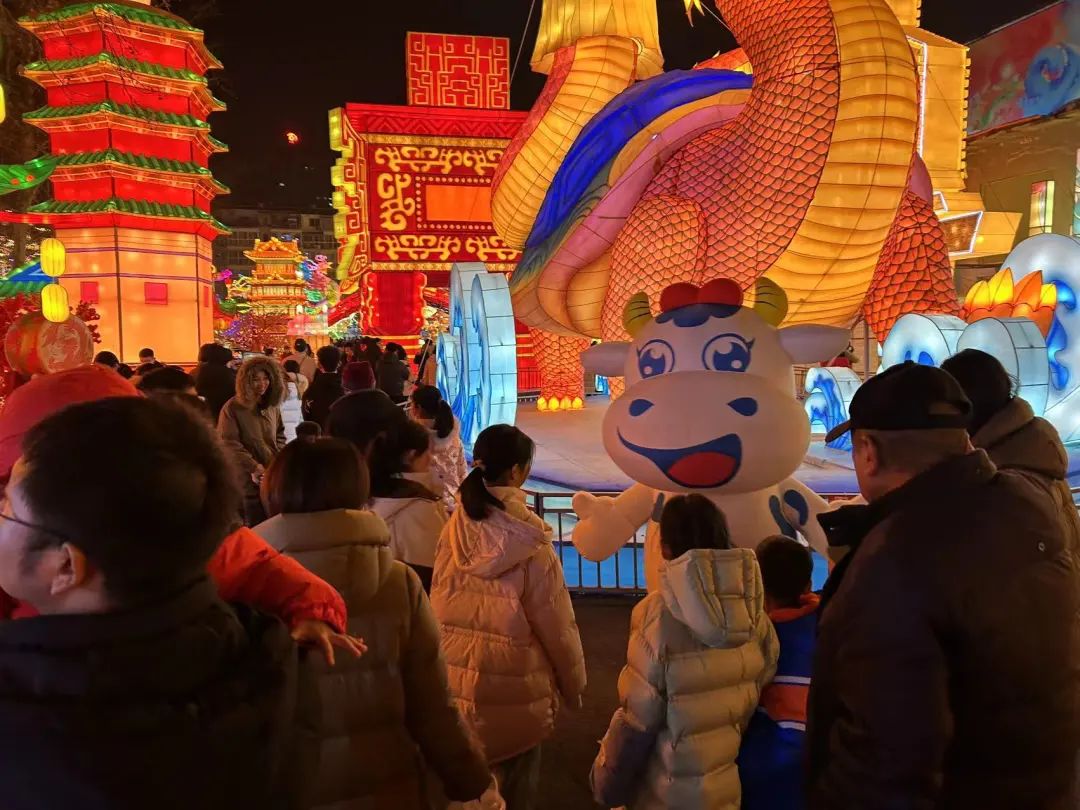 央視直播鄭州龍年燈會(huì)迎新春，花花牛品牌上大分