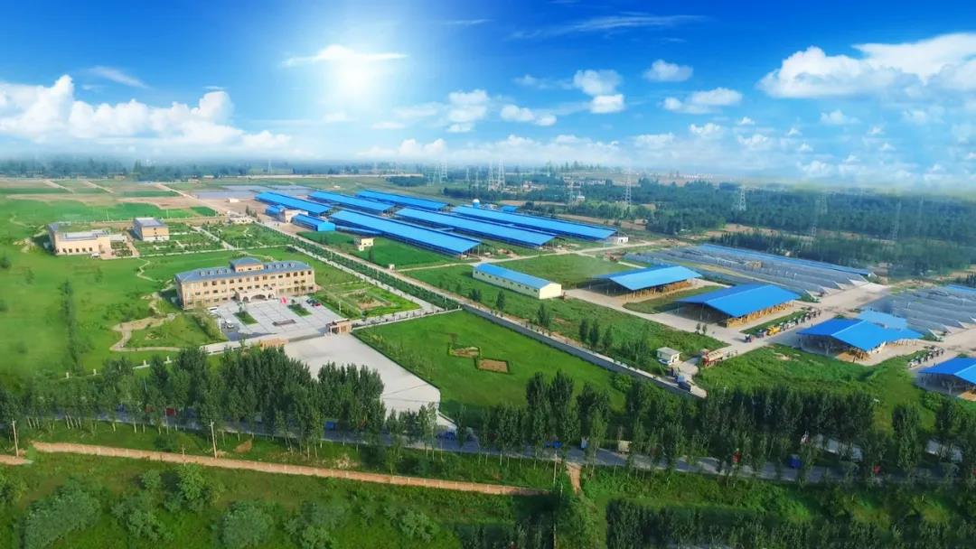 花花牛丨河南農(nóng)業(yè)大學(xué)黨委副書記、校長介曉磊一行蒞臨花花牛河南瑞亞參觀調(diào)研