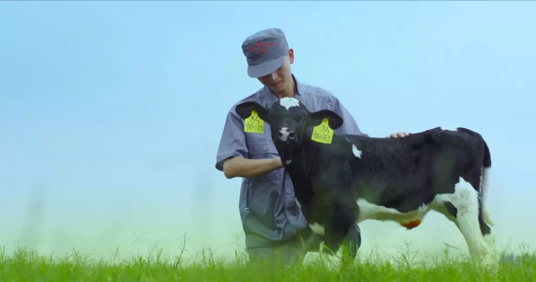 河南省人大常委會(huì)黨組書(shū)記、副主任孔昌生蒞臨花花牛魯山瑞亞牧場(chǎng)參觀調(diào)研