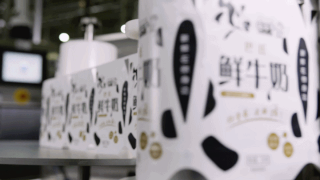 快訊 | 長江商學(xué)院智能制造學(xué)會(huì)走進(jìn)花花牛乳業(yè)集團(tuán)