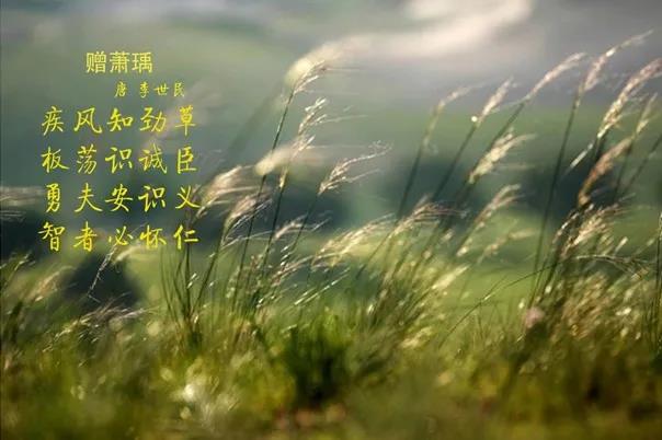 花花牛 | 疾風(fēng)來臨，你是不是勁草？