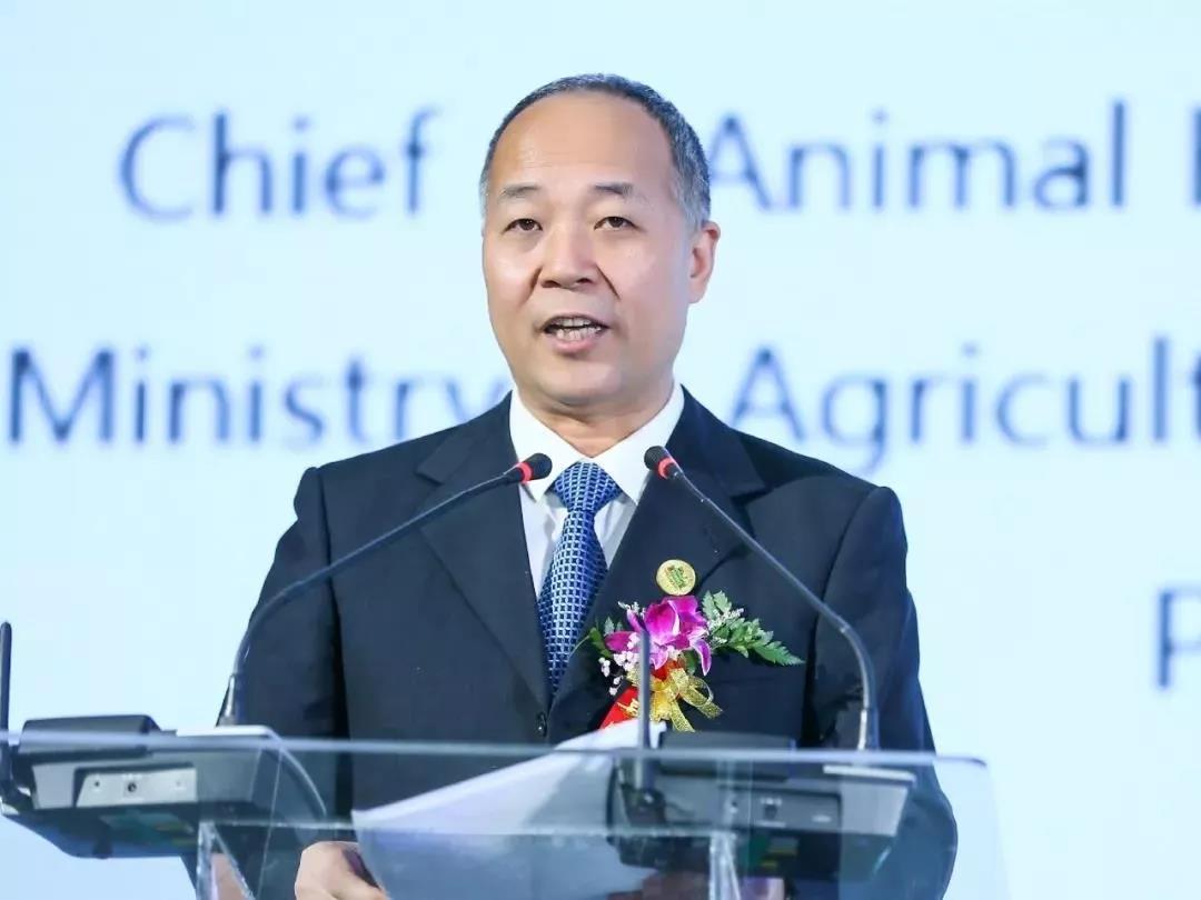 SDDDC走進(jìn)河南，看看花花牛的國際范兒！