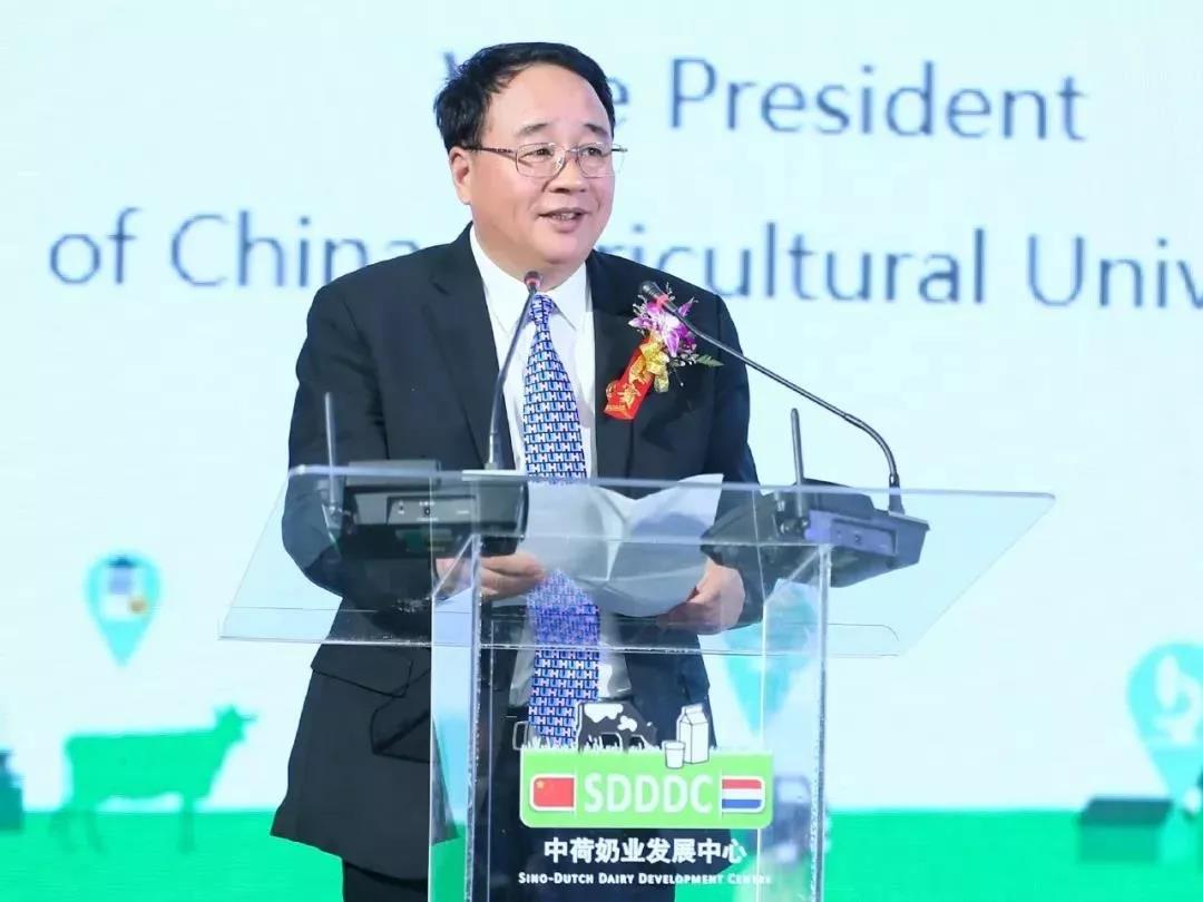 SDDDC走進(jìn)河南，看看花花牛的國際范兒！