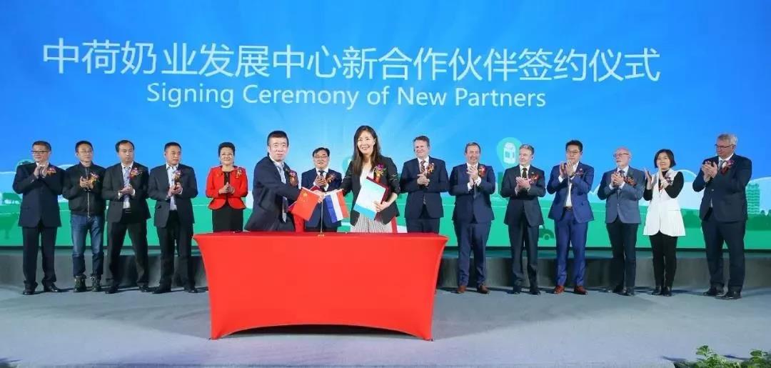 SDDDC走進(jìn)河南，看看花花牛的國際范兒！