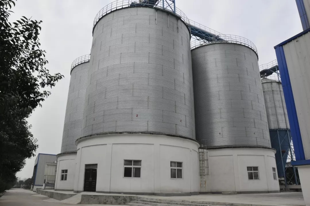 第31屆中原畜牧業(yè)交易博覽會 || 花花牛乳業(yè)集團(tuán)獲“河南省畜牧行業(yè)——最具影響力品牌”獎(jiǎng)