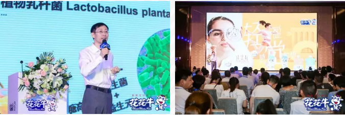 花花牛輕覺上市暨優(yōu)質(zhì)乳工程認(rèn)證發(fā)布會(huì)，盛大啟幕！