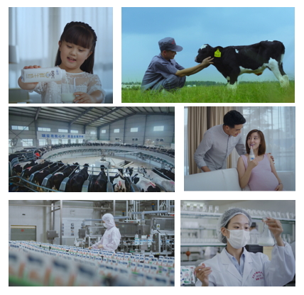 花花牛亮相中國奶業(yè)20強呼倫貝爾峰會，共話中國奶業(yè)振興！