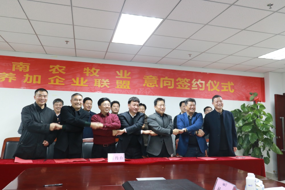 涉農(nóng)企業(yè)強(qiáng)強(qiáng)聯(lián)合，“抱團(tuán)取暖”共迎企業(yè)發(fā)展的春天