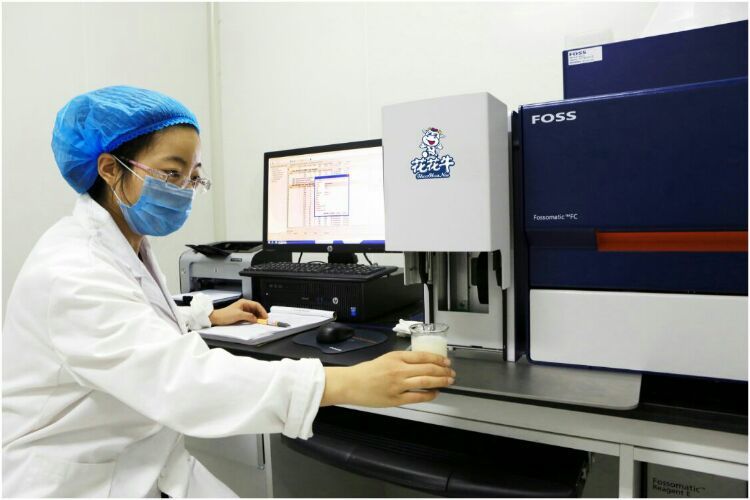 花花牛：務(wù)實(shí)、創(chuàng)新領(lǐng)潮市場 大企業(yè)體現(xiàn)大擔(dān)當(dāng)