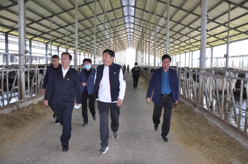 商丘市委常委、宣傳部部長王全周一行蒞臨睢縣瑞亞牧業(yè)有限公司調(diào)研